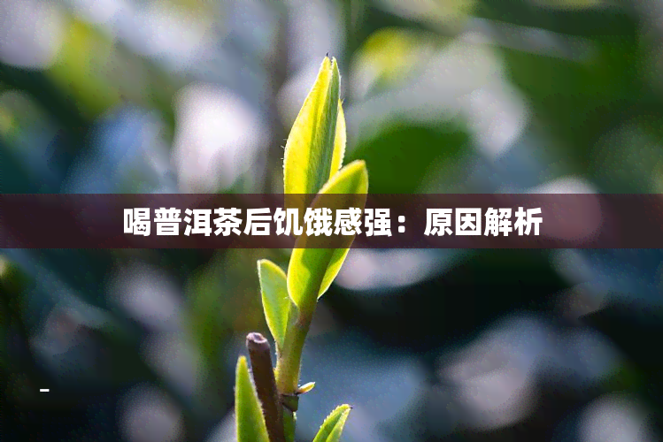 喝普洱茶后饥饿感强：原因解析