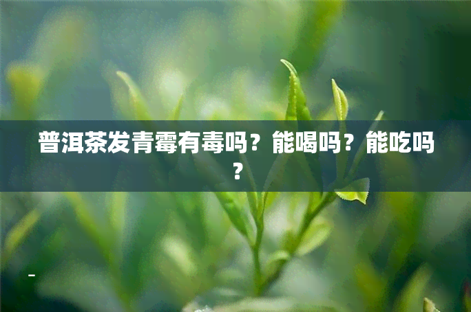 普洱茶发青霉有吗？能喝吗？能吃吗？