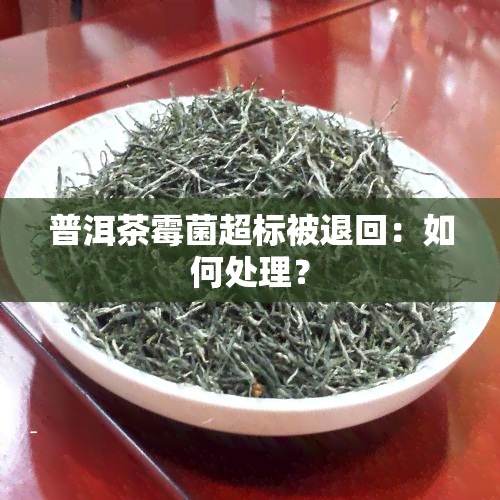 普洱茶霉菌超标被退回：如何处理？