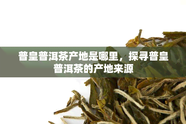 普皇普洱茶产地是哪里，探寻普皇普洱茶的产地来源