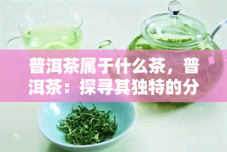 普洱茶属于什么茶，普洱茶：探寻其独特的分类与特点