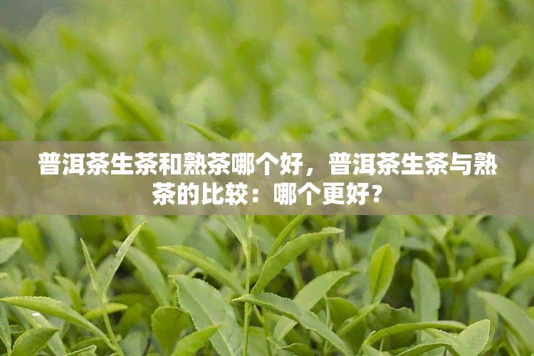 普洱茶生茶和熟茶哪个好，普洱茶生茶与熟茶的比较：哪个更好？