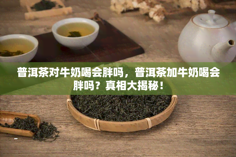 普洱茶对牛奶喝会胖吗，普洱茶加牛奶喝会胖吗？真相大揭秘！