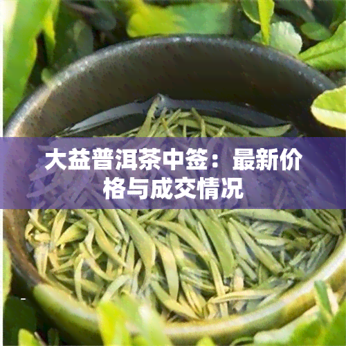 大益普洱茶中签：最新价格与成交情况