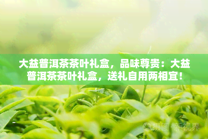 大益普洱茶茶叶礼盒，品味尊贵：大益普洱茶茶叶礼盒，送礼自用两相宜！