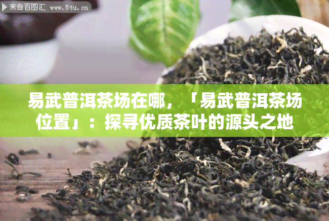 易武普洱茶场在哪，「易武普洱茶场位置」：探寻优质茶叶的源头之地