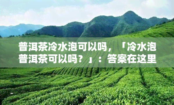 普洱茶冷水泡可以吗，「冷水泡普洱茶可以吗？」：答案在这里！