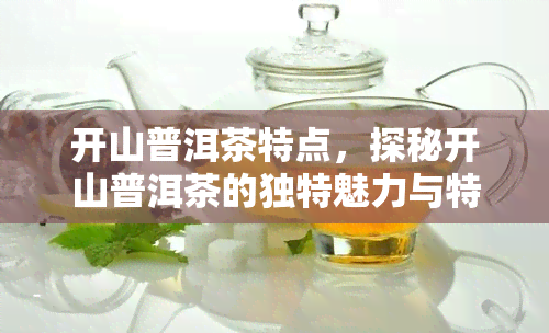 开山普洱茶特点，探秘开山普洱茶的独特魅力与特性