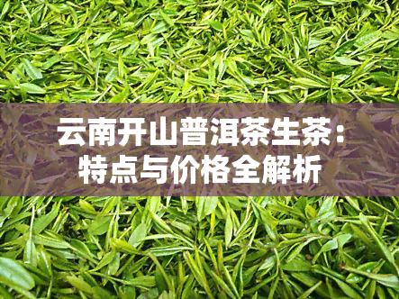 云南开山普洱茶生茶：特点与价格全解析