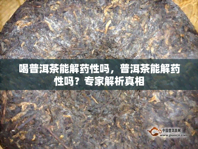 喝普洱茶能解性吗，普洱茶能解性吗？专家解析真相