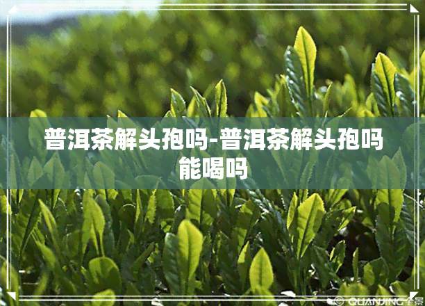 普洱茶解头孢吗-普洱茶解头孢吗能喝吗