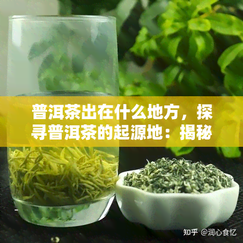 普洱茶出在什么地方，探寻普洱茶的起源地：揭秘这种独特茶叶的产地