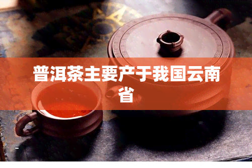 普洱茶主要产于我国云南省