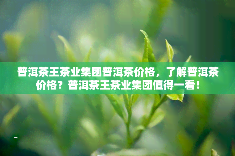 普洱茶王茶业集团普洱茶价格，了解普洱茶价格？普洱茶王茶业集团值得一看！