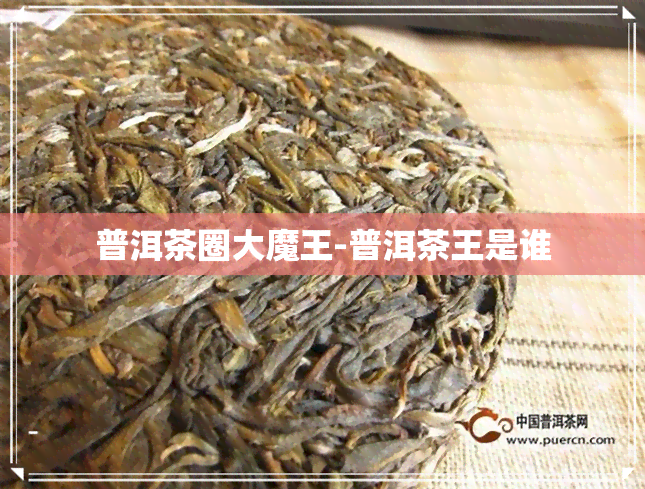 普洱茶圈大魔王-普洱茶王是谁