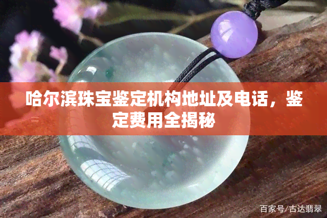 哈尔滨珠宝鉴定机构地址及电话，鉴定费用全揭秘