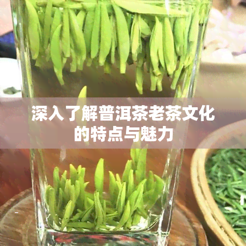 深入了解普洱茶老茶文化的特点与魅力