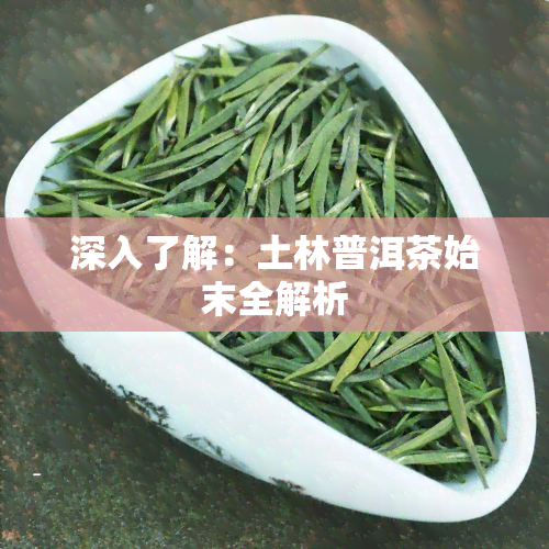 深入了解：土林普洱茶始末全解析