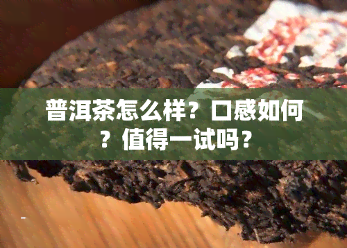 普洱茶怎么样？口感如何？值得一试吗？