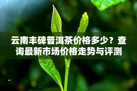 云南丰碑普洱茶价格多少？查询最新市场价格走势与评测