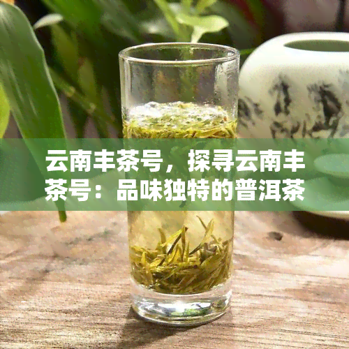 云南丰茶号，探寻云南丰茶号：品味独特的普洱茶文化