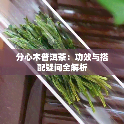 分心木普洱茶：功效与搭配疑问全解析