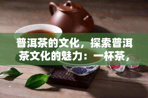 普洱茶的文化，探索普洱茶文化的魅力：一杯茶，一种生活态度