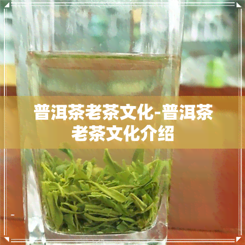 普洱茶老茶文化-普洱茶老茶文化介绍