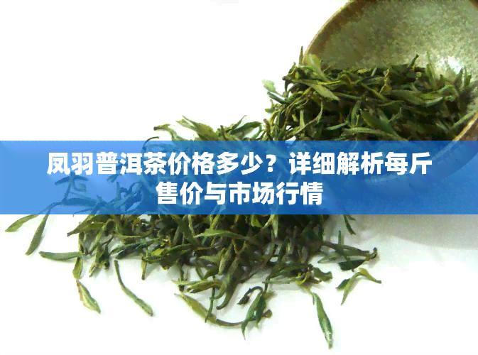 凤羽普洱茶价格多少？详细解析每斤售价与市场行情