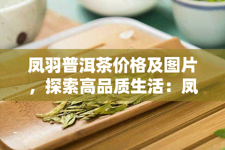 凤羽普洱茶价格及图片，探索高品质生活：凤羽普洱茶价格与精美图片全览