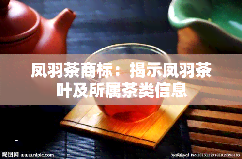 凤羽茶商标：揭示凤羽茶叶及所属茶类信息