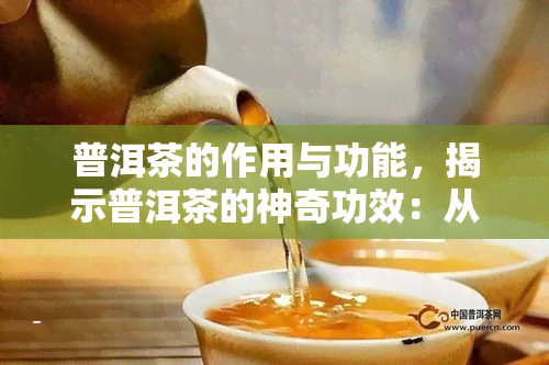 普洱茶的作用与功能，揭示普洱茶的神奇功效：从保健到美容全方位解析