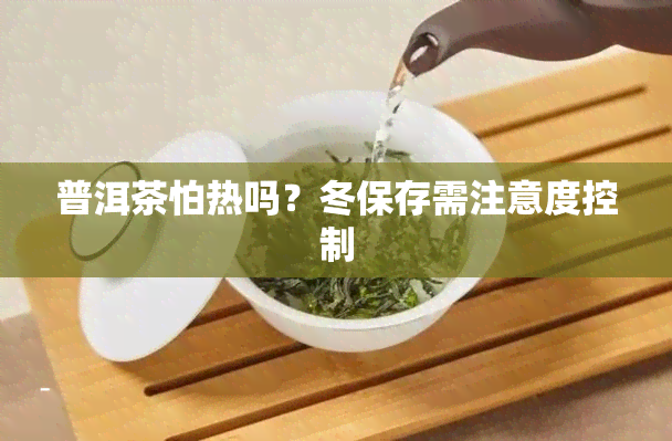 普洱茶怕热吗？冬保存需注意度控制