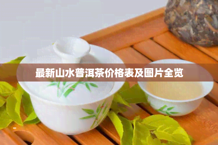 最新山水普洱茶价格表及图片全览