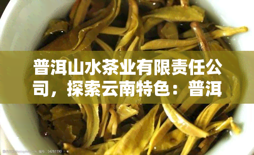 普洱山水茶业有限责任公司，探索云南特色：普洱山水茶业有限责任公司的茶叶之旅