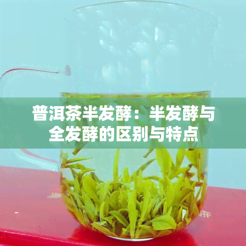 普洱茶半发酵：半发酵与全发酵的区别与特点