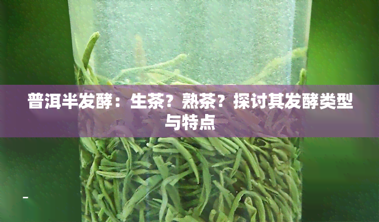 普洱半发酵：生茶？熟茶？探讨其发酵类型与特点