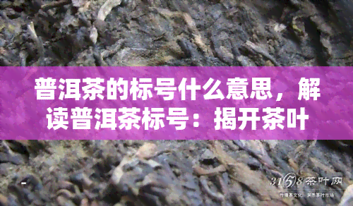 普洱茶的标号什么意思，解读普洱茶标号：揭开茶叶背后的秘密