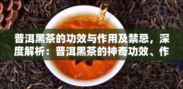 普洱黑茶的功效与作用及禁忌，深度解析：普洱黑茶的神奇功效、作用以及使用禁忌