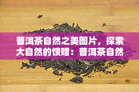 普洱茶自然之美图片，探索大自然的馈赠：普洱茶自然之美图片集