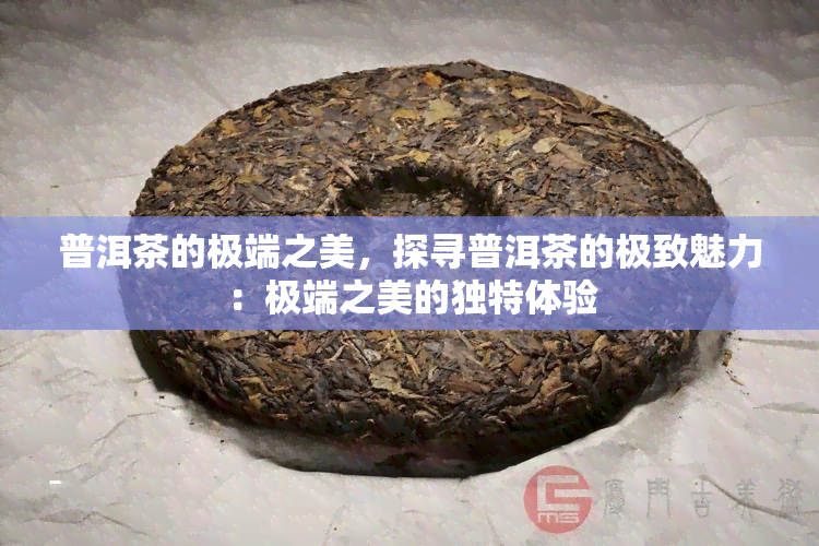 普洱茶的极端之美，探寻普洱茶的极致魅力：极端之美的独特体验