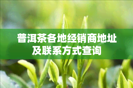 普洱茶各地经销商地址及联系方式查询