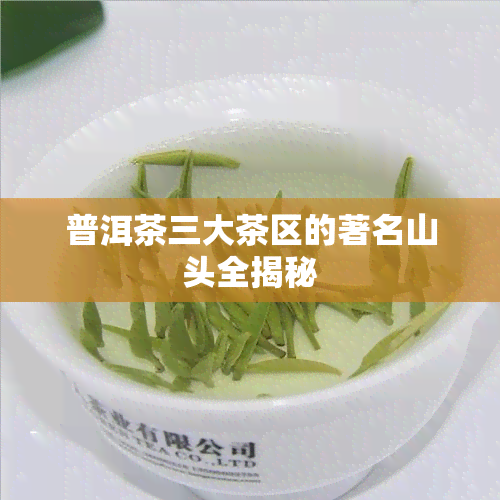 普洱茶三大茶区的著名山头全揭秘