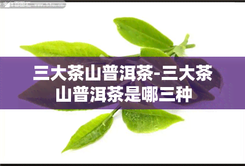 三大茶山普洱茶-三大茶山普洱茶是哪三种