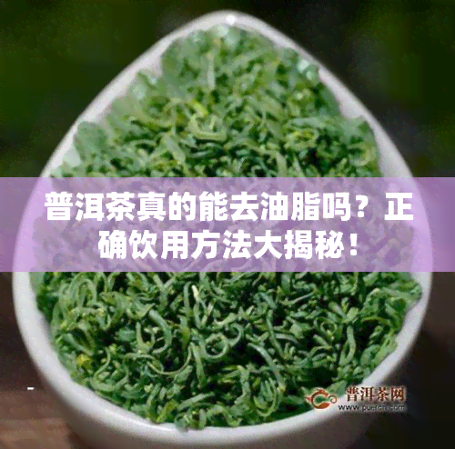 普洱茶真的能去油脂吗？正确饮用方法大揭秘！