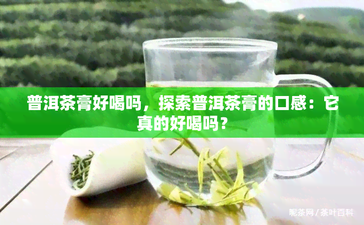 普洱茶膏好喝吗，探索普洱茶膏的口感：它真的好喝吗？