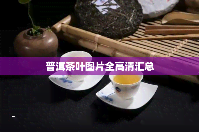 普洱茶叶图片全高清汇总