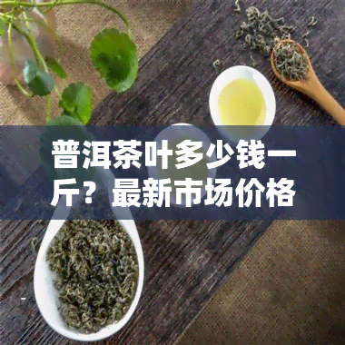 普洱茶叶多少钱一斤？最新市场价格及走势解析