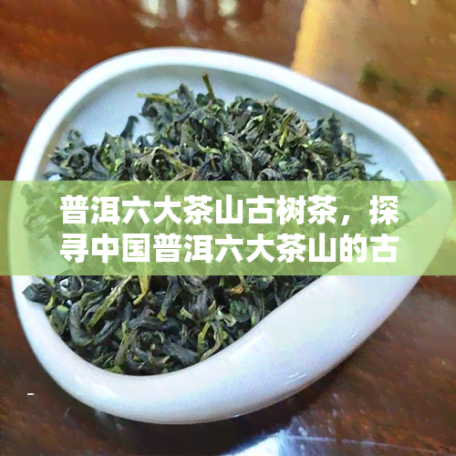 普洱六大茶山古树茶，探寻中国普洱六大茶山的古树茶传奇