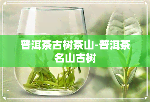 普洱茶古树茶山-普洱茶名山古树